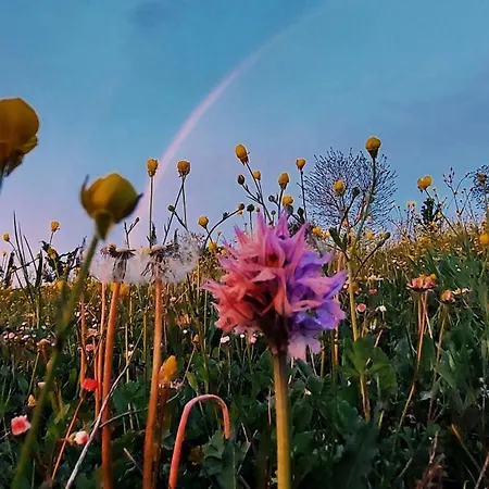 San Isidore 度假居 *