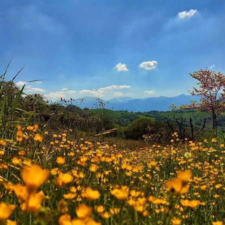 San Isidore Сasa de vacaciones Penna San Giovanni